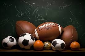 樊振东重返德甲 助萨尔布吕肯俱乐部主场取胜